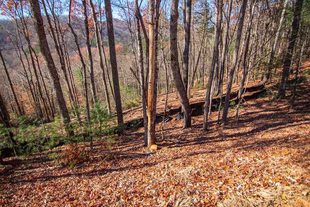 281 Clay's Way, Blue Ridge GA 30513 - Photo