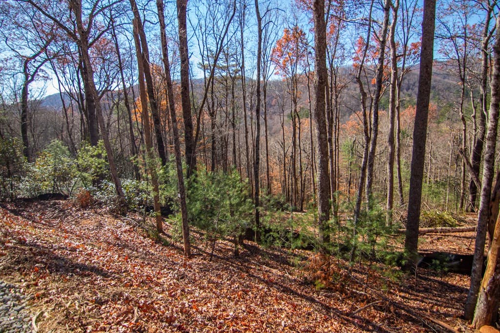 281 Clay's Way, Blue Ridge GA 30513 - Photo