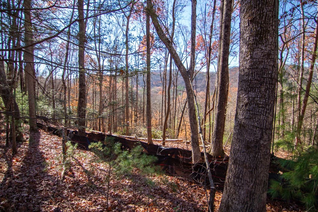 281 Clay's Way, Blue Ridge GA 30513 - Photo