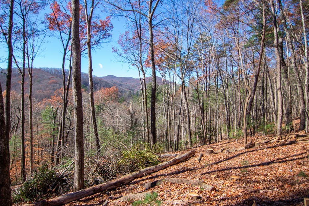 281 Clay's Way, Blue Ridge GA 30513 - Photo