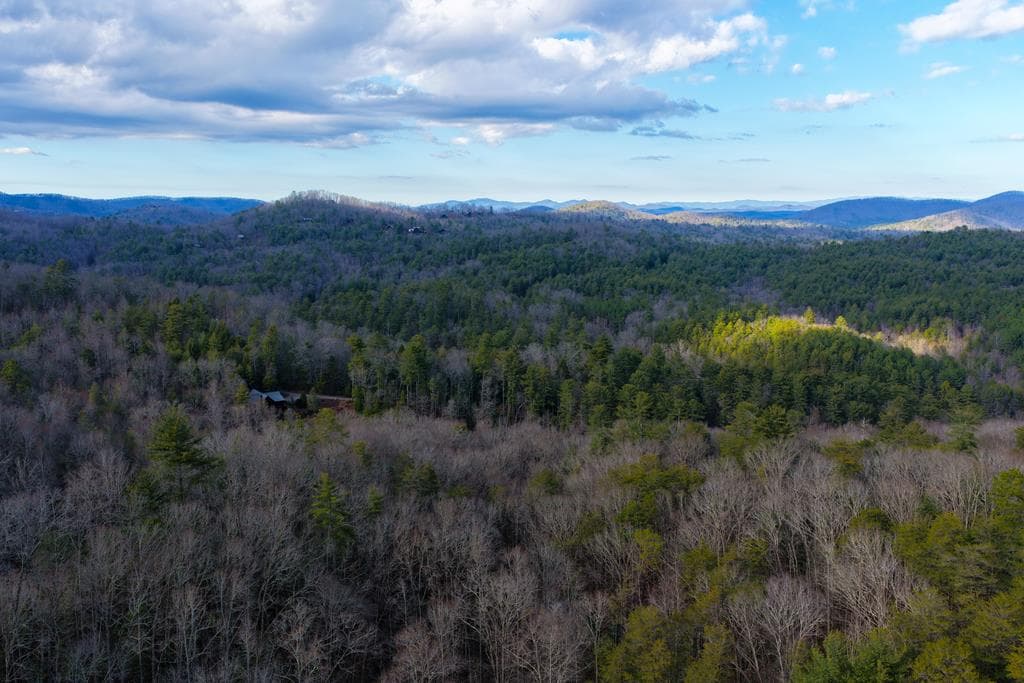 Lot 7 Clay's Way, Blue Ridge GA 30513 - Photo