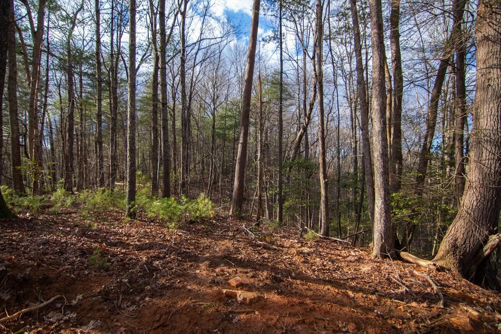 Lot 7 Clay's Way, Blue Ridge GA 30513 - Photo