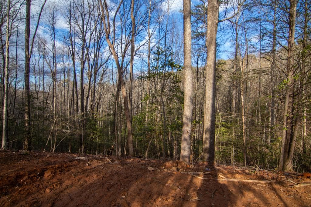 Lot 7 Clay's Way, Blue Ridge GA 30513 - Photo