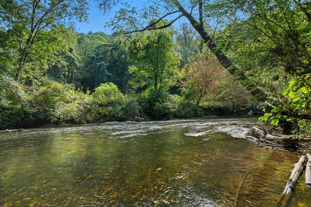 195 River Street, Ellijay GA 30540 - Photo