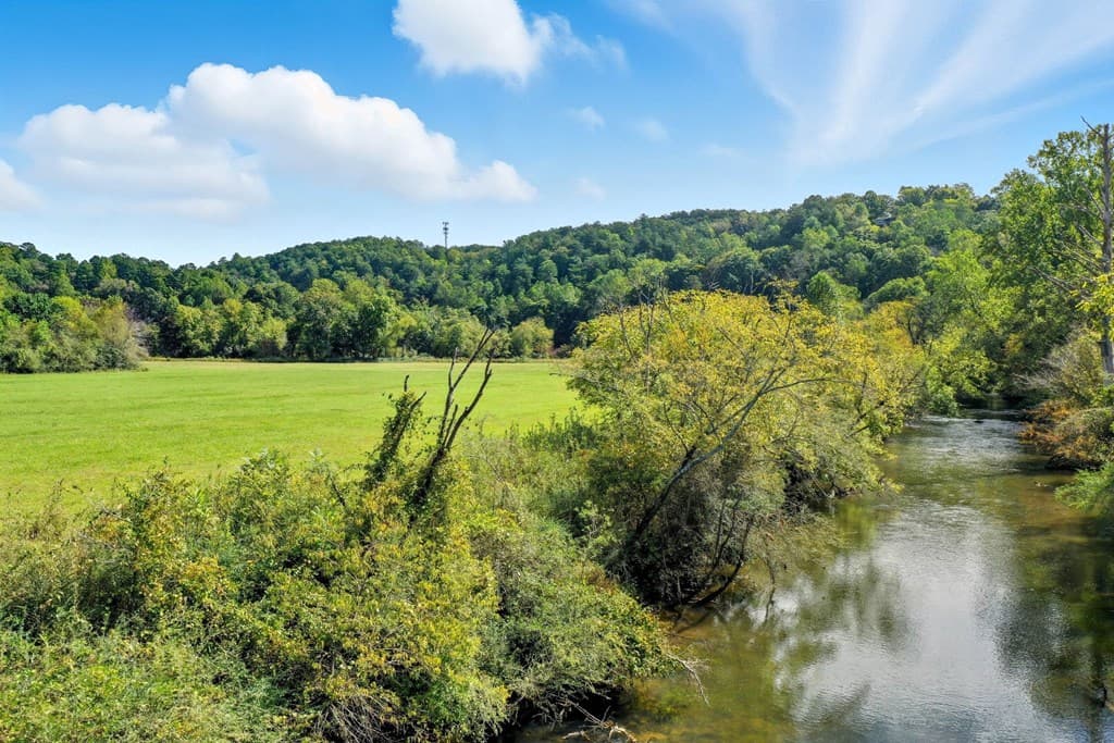 195 River Street, Ellijay GA 30540 - Photo