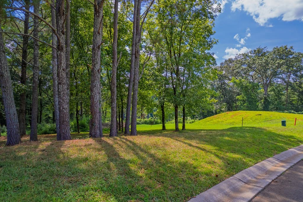 Lots 6-8 N Parkview Drive, Ellijay GA 30540 - Photo