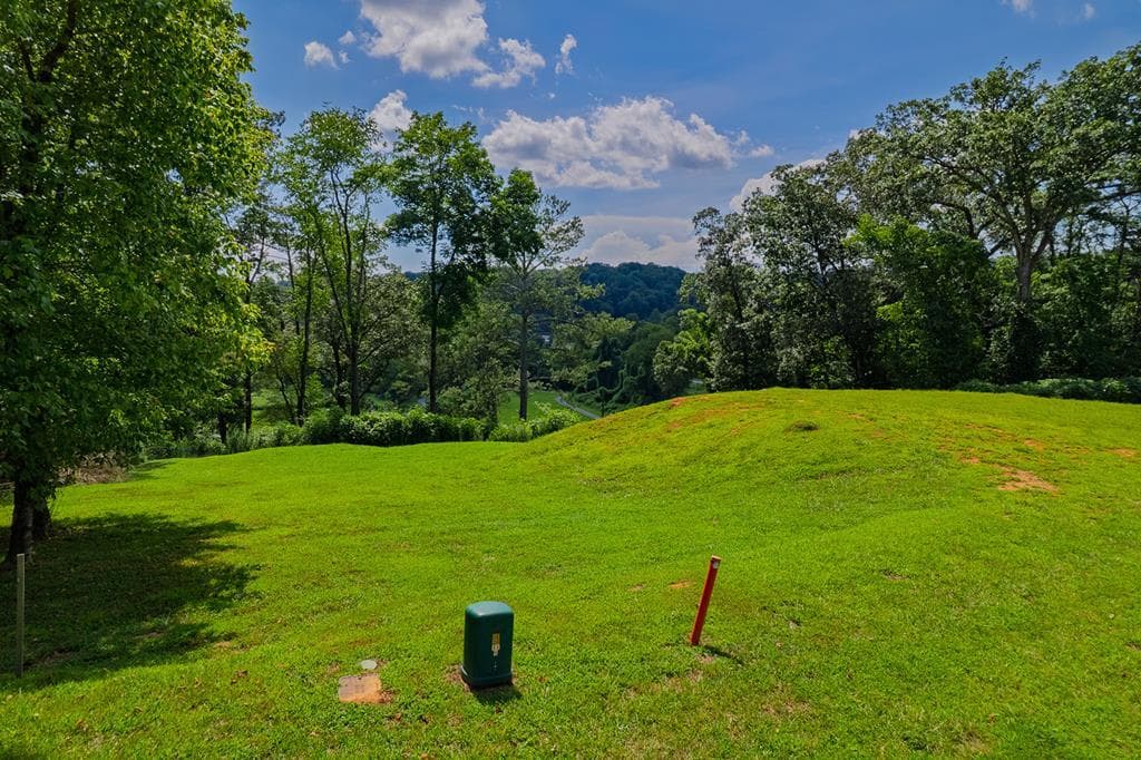 Lots 6-8 N Parkview Drive, Ellijay GA 30540 - Photo