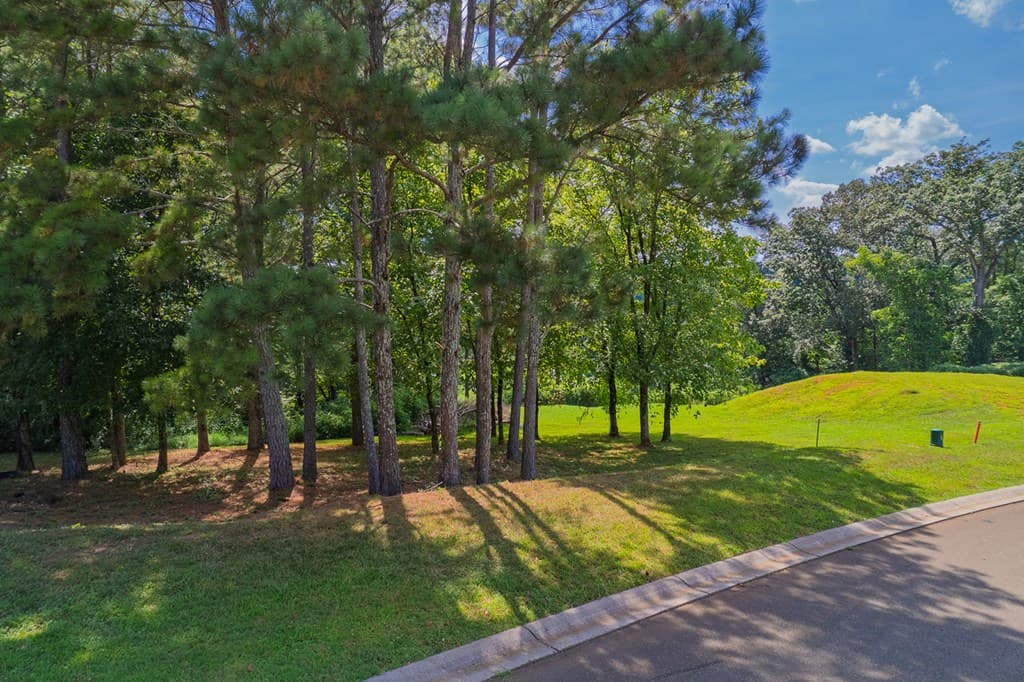 Lots 6-8 N Parkview Drive, Ellijay GA 30540 - Photo