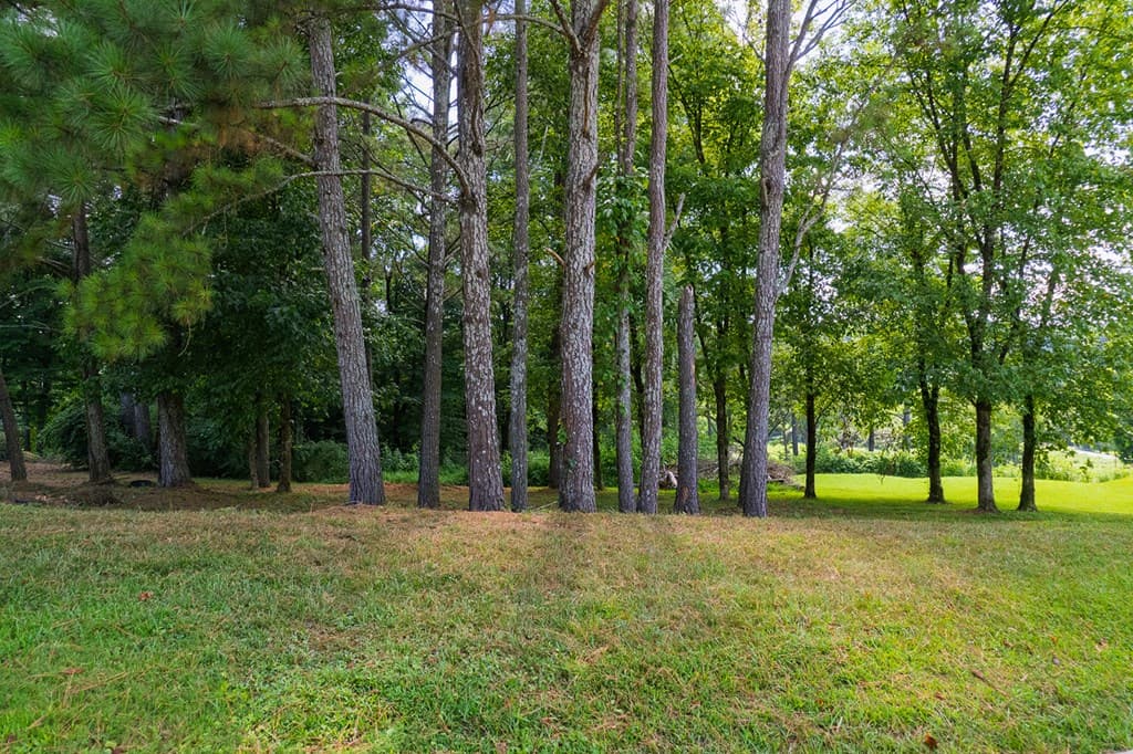 Lots 6-8 N Parkview Drive, Ellijay GA 30540 - Photo