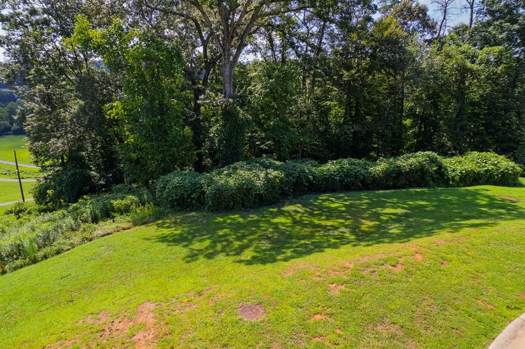 Lots 6-8 N Parkview Drive, Ellijay GA 30540 - Photo