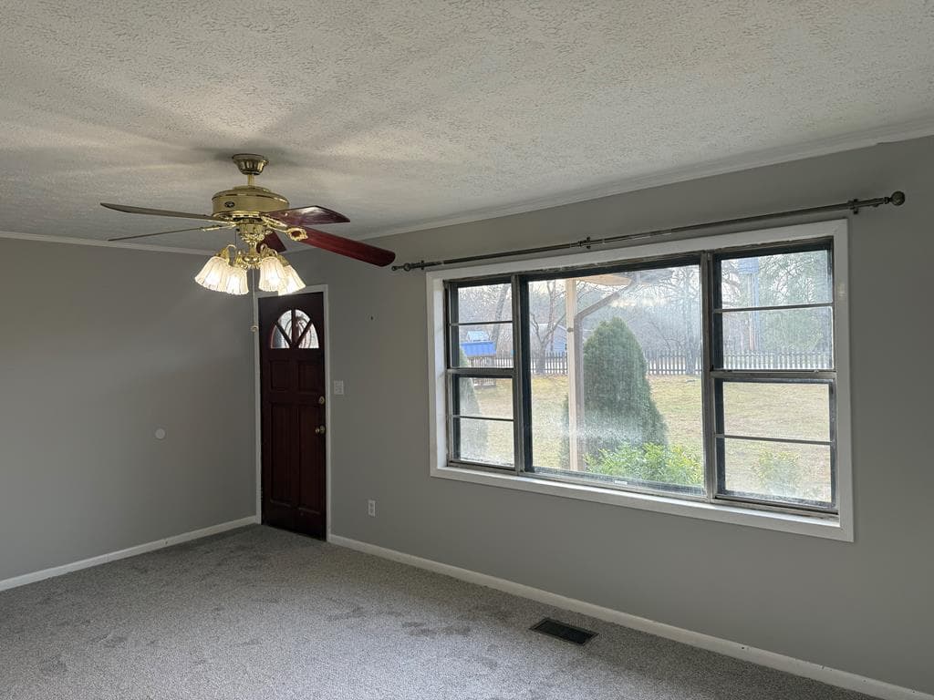 2906 Douthit Road, Mineral Bluff GA 30559 - Photo
