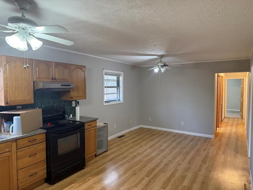 2906 Douthit Road, Mineral Bluff GA 30559 - Photo