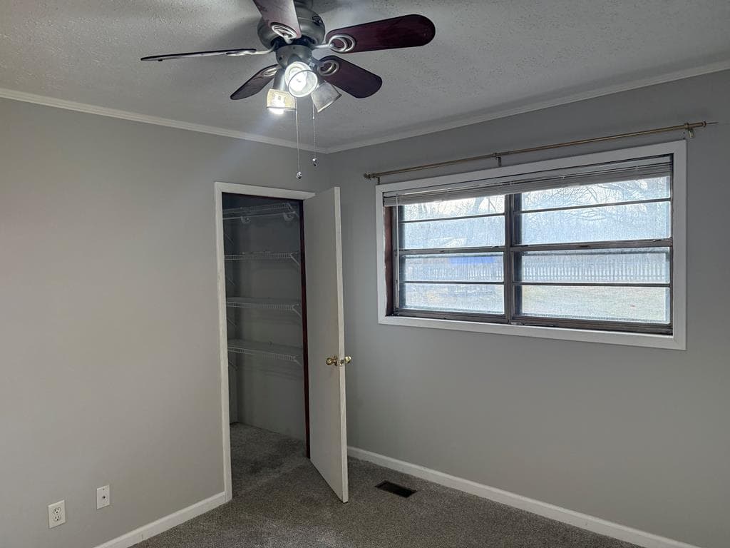 2906 Douthit Road, Mineral Bluff GA 30559 - Photo