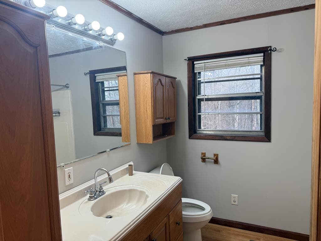 2906 Douthit Road, Mineral Bluff GA 30559 - Photo