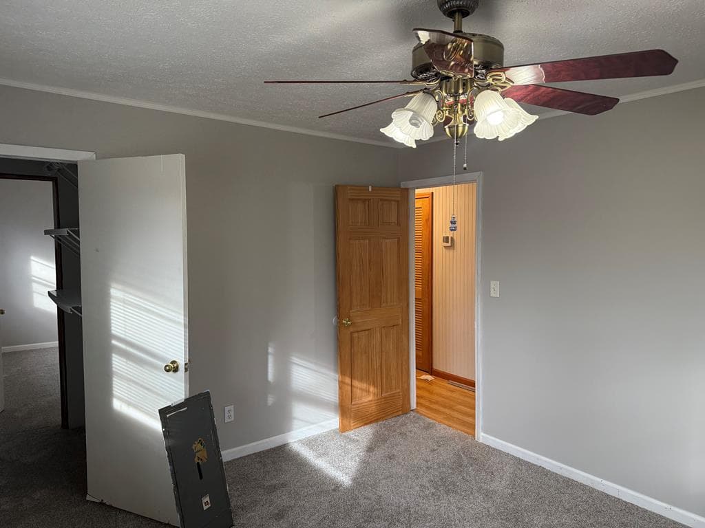 2906 Douthit Road, Mineral Bluff GA 30559 - Photo