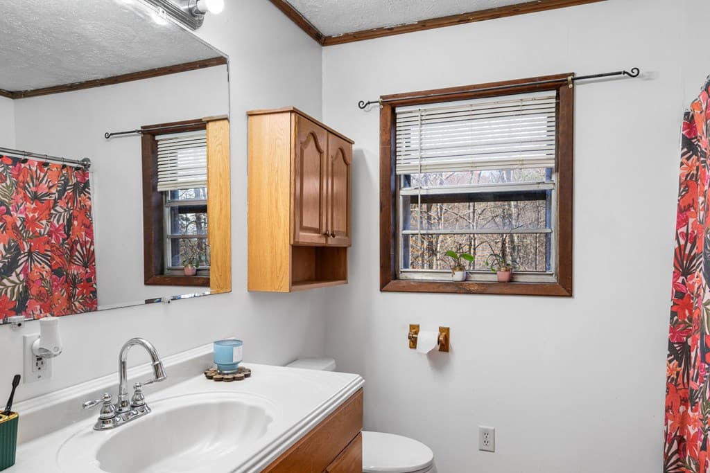 2906 Douthit Road, Mineral Bluff GA 30559 - Photo