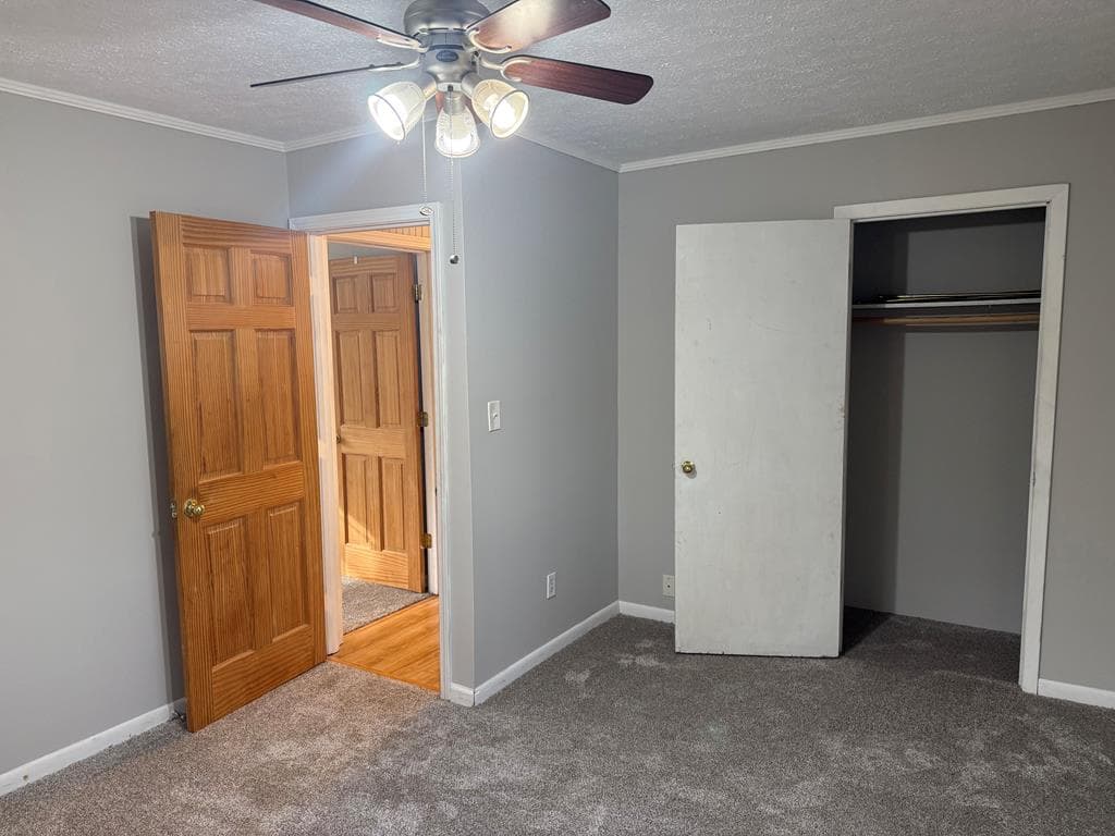 2906 Douthit Road, Mineral Bluff GA 30559 - Photo