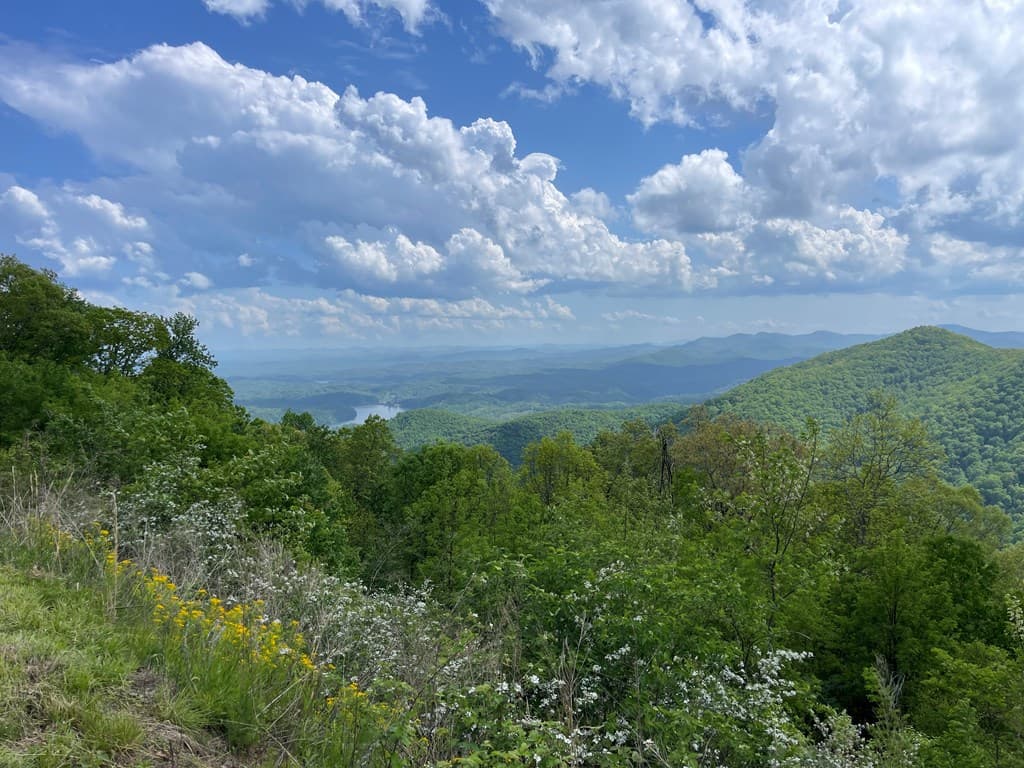 0 Burrell Mountain Road, Murphy NC 28906 - Photo
