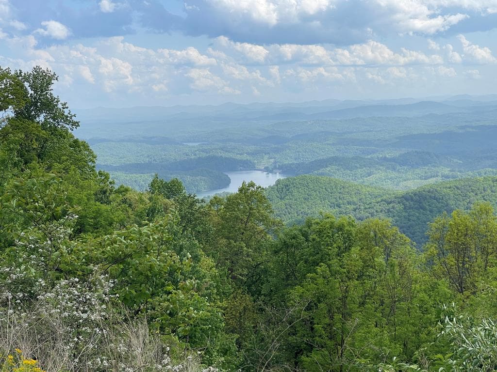 0 Burrell Mountain Road, Murphy NC 28906 - Primary photo