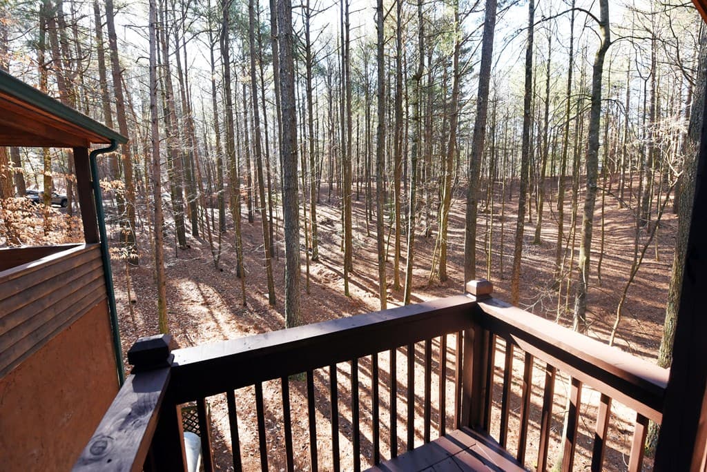 63 Misty Oaks Court, Ellijay GA 30536 - Photo