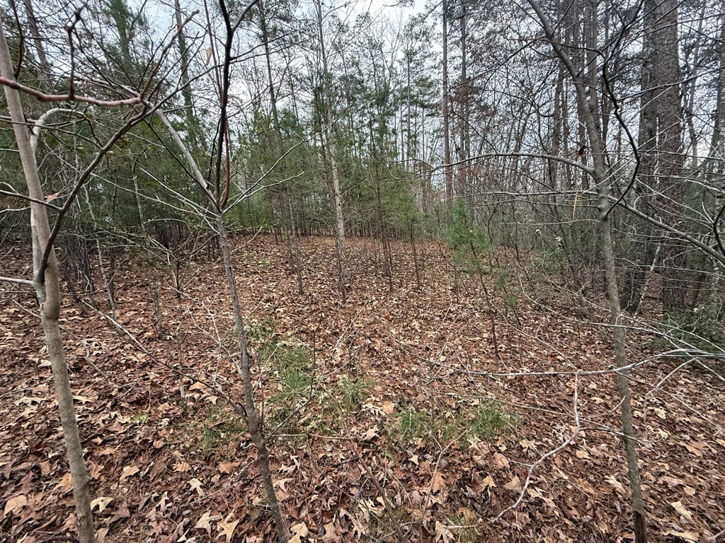 0 Kestrel Ridge Circle, Murphy NC 28906 - Photo