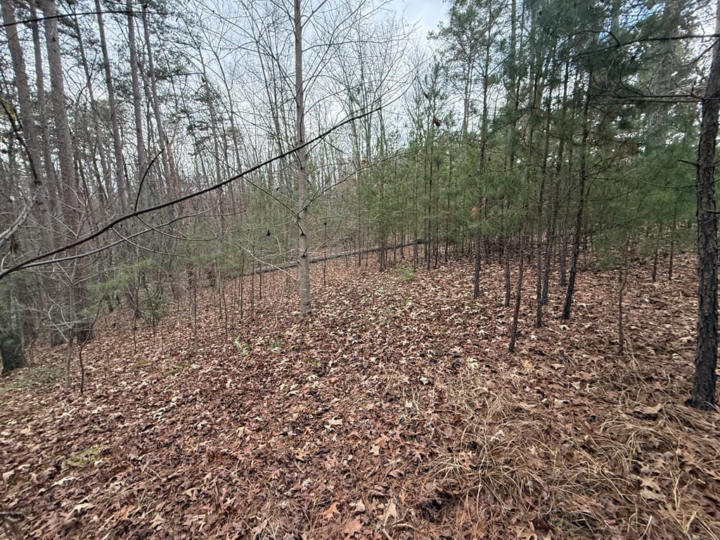 0 Kestrel Ridge Circle, Murphy NC 28906 - Photo