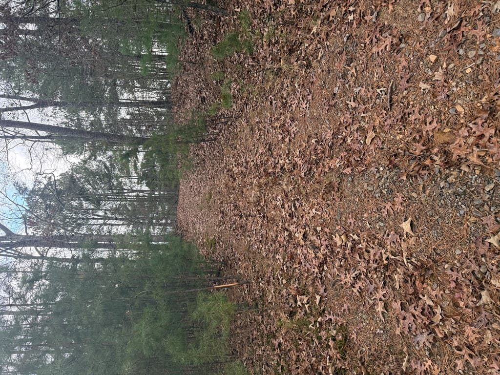 0 Kestrel Ridge Circle, Murphy NC 28906 - Photo