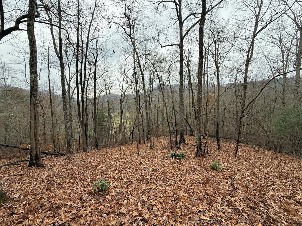 0 Flaming Ridge, Hayesville NC 28905 - Photo