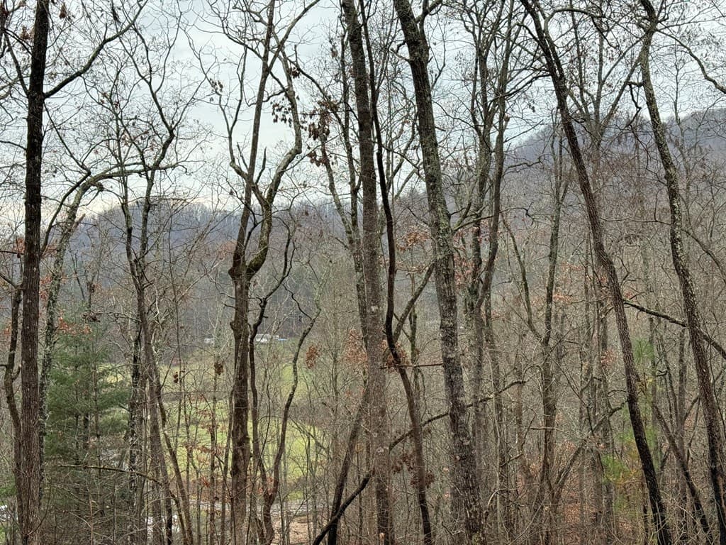 0 Flaming Ridge, Hayesville NC 28905 - Photo