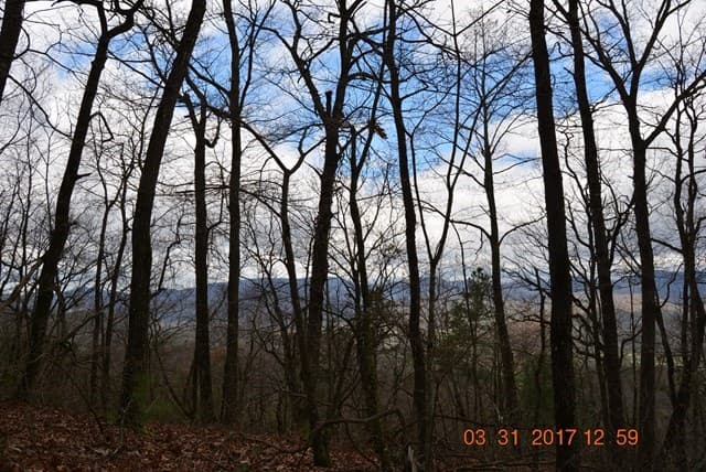 3530 Grape Creek Road, Murphy NC 28906 - Photo