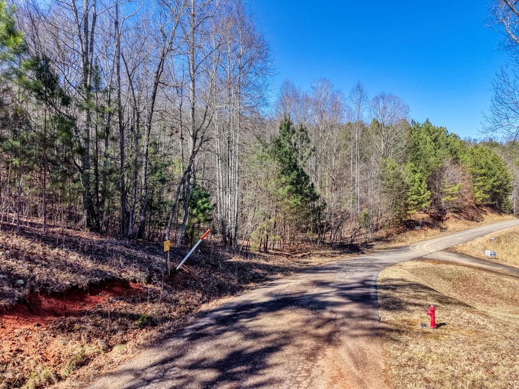 LOT 27 Trailwood Drive, Blairsville GA 30512 - Photo