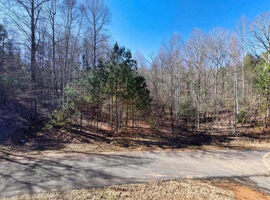 LOT 27 Trailwood Drive, Blairsville GA 30512 - Photo