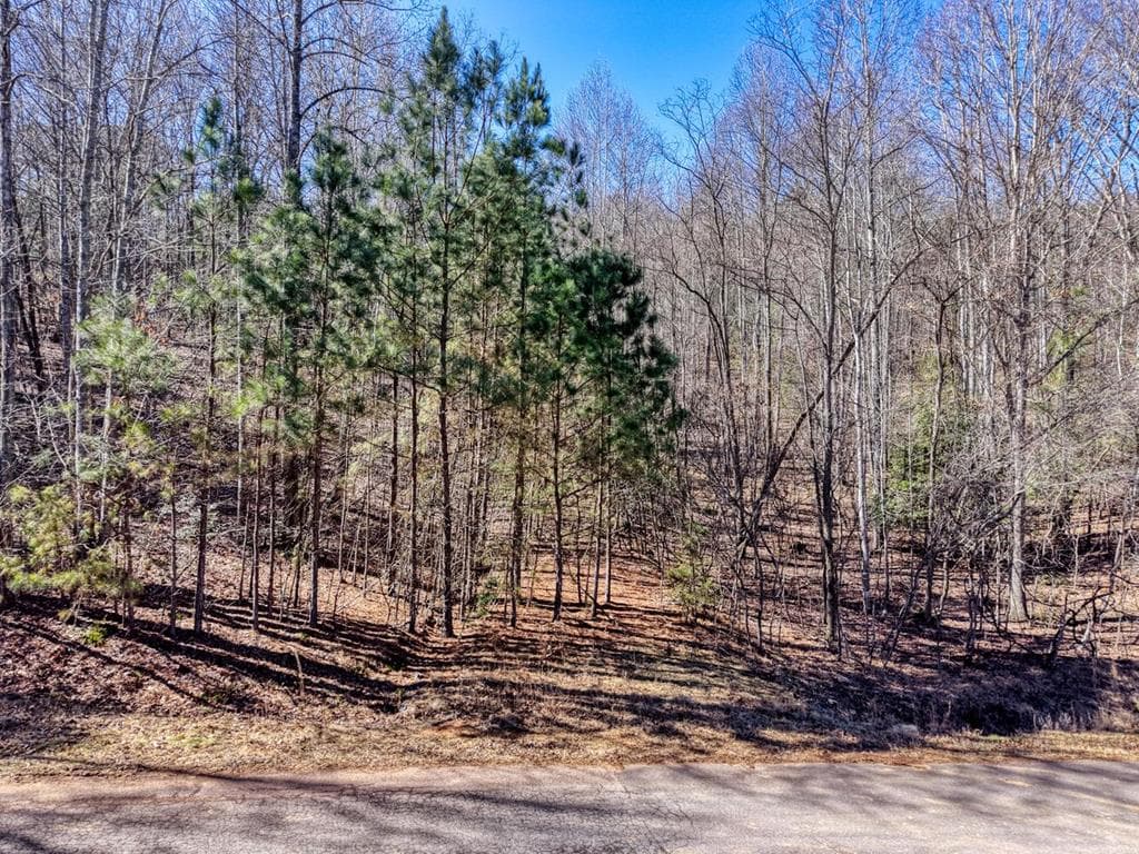 LOT 27 Trailwood Drive, Blairsville GA 30512 - Primary photo
