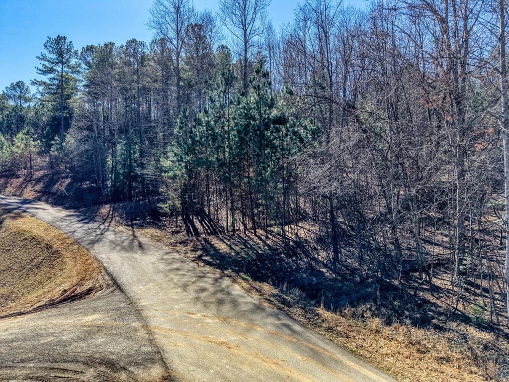 LOT 27 Trailwood Drive, Blairsville GA 30512 - Photo