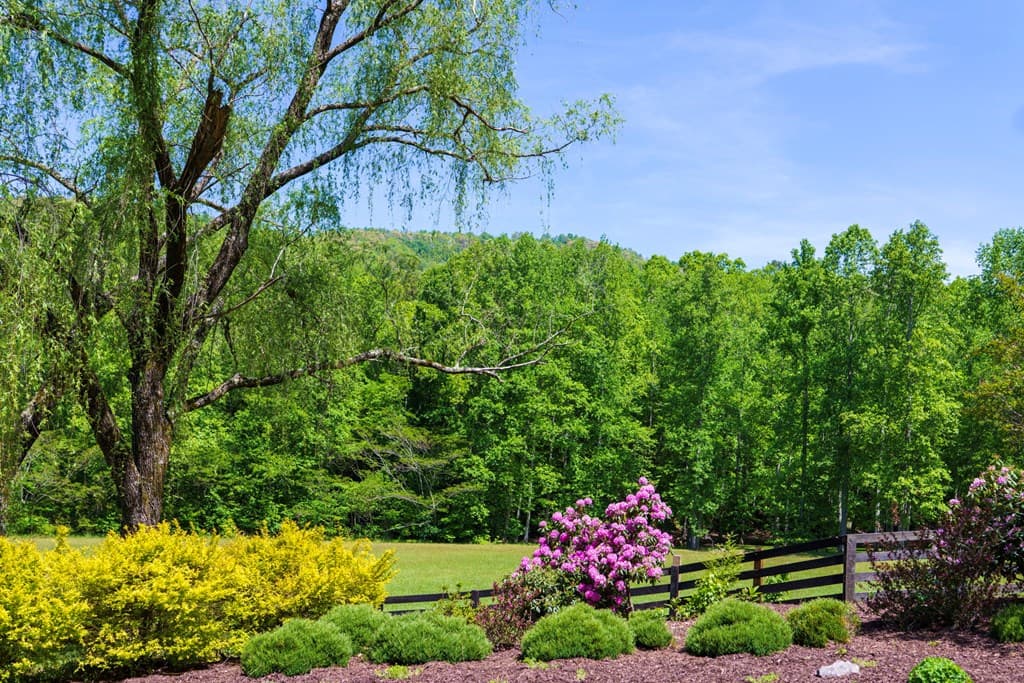 1115 Outlook Road, Murphy NC 28906 - Photo