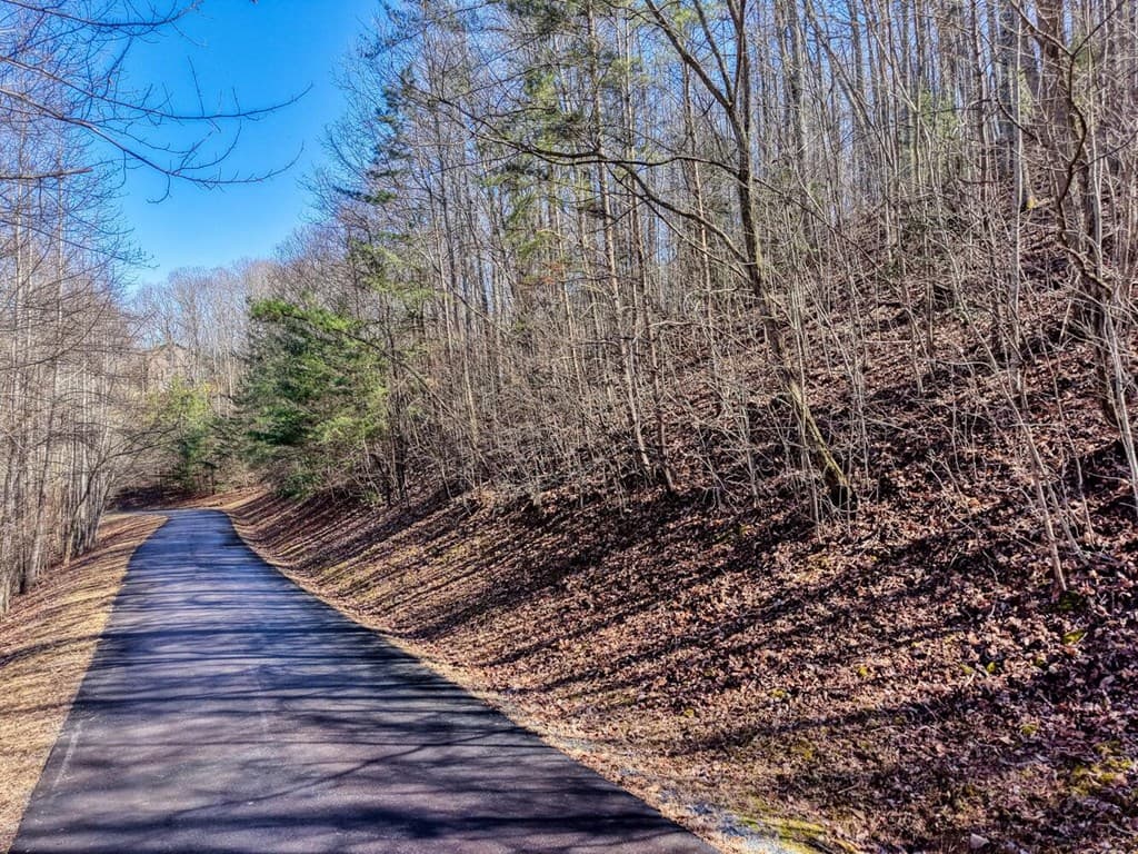 7C & 7D Timber Bend, Blairsville GA 30512 - Photo