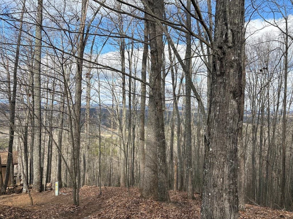 7C & 7D Timber Bend, Blairsville GA 30512 - Photo