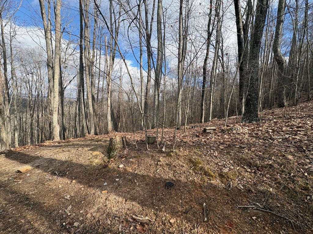 7C & 7D Timber Bend, Blairsville GA 30512 - Photo