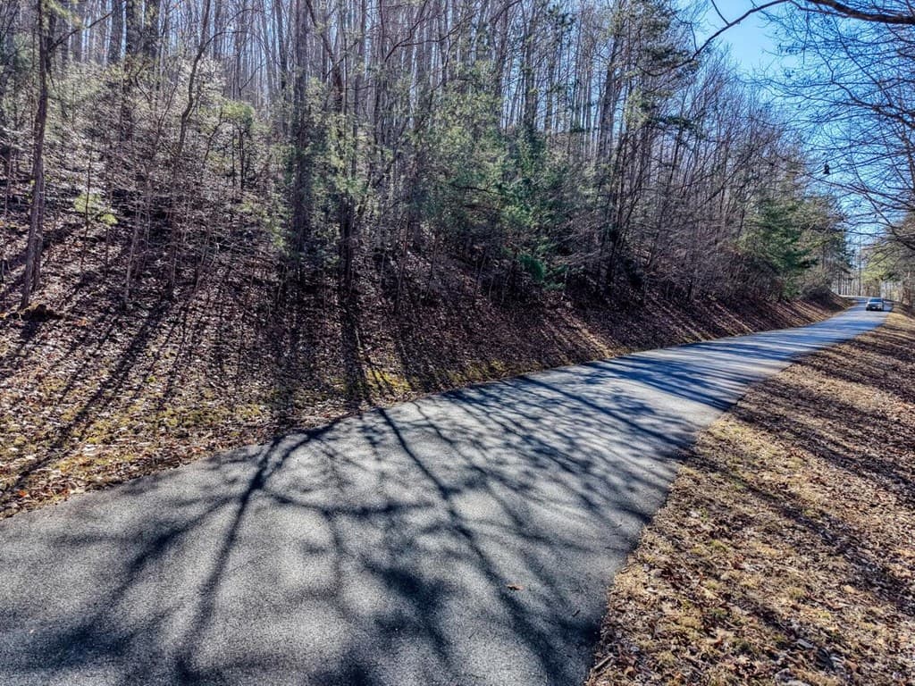 7C & 7D Timber Bend, Blairsville GA 30512 - Photo