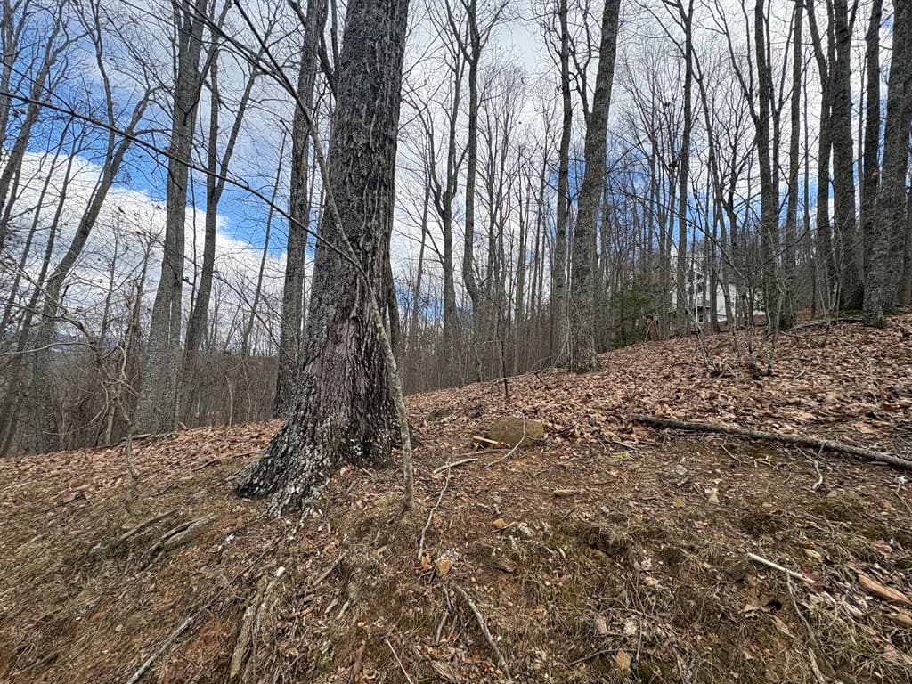 7C & 7D Timber Bend, Blairsville GA 30512 - Photo