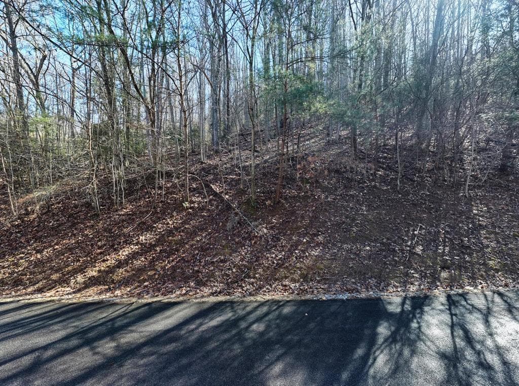 7C & 7D Timber Bend, Blairsville GA 30512 - Photo
