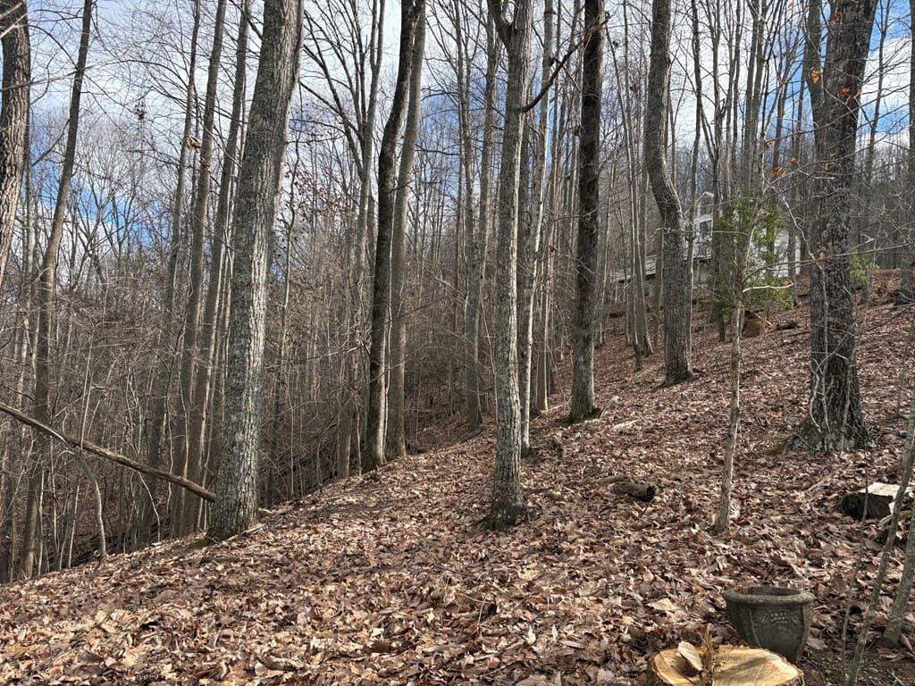 7C & 7D Timber Bend, Blairsville GA 30512 - Photo