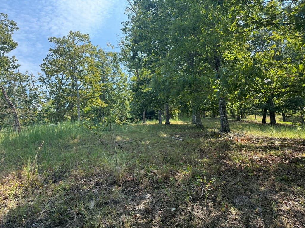 0 Madison Lane, Murphy NC 28906 - Photo