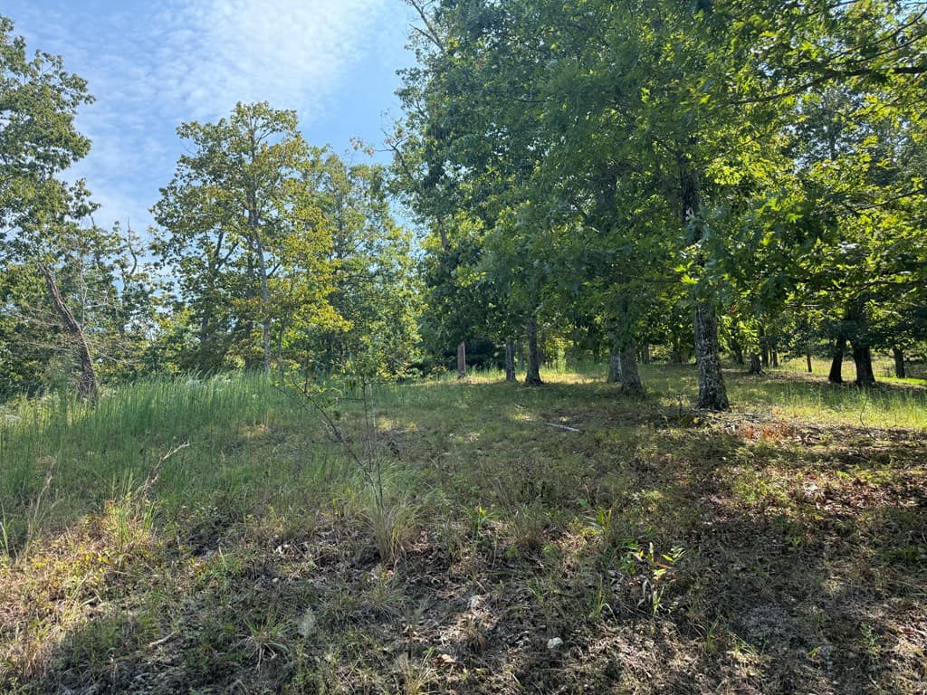 0 Madison Lane, Murphy NC 28906 - Photo