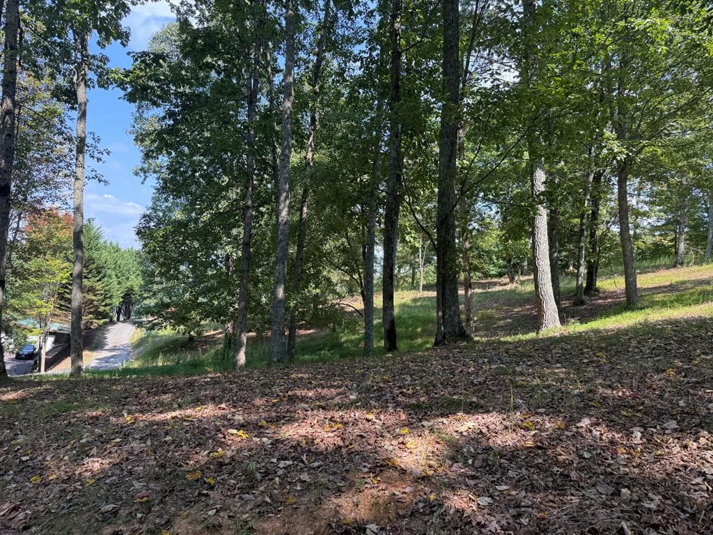 0 Madison Lane, Murphy NC 28906 - Primary photo