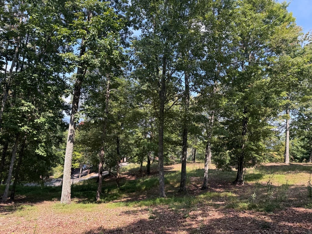 0 Madison Lane, Murphy NC 28906 - Photo