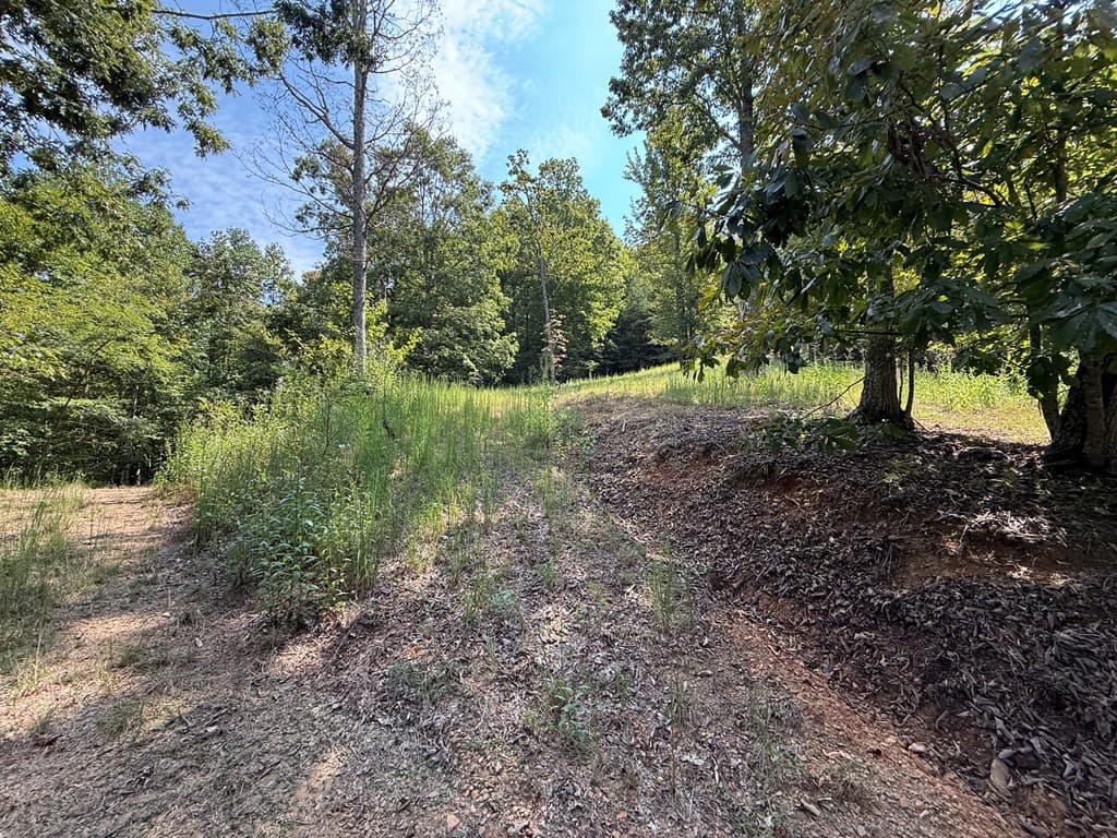 0 Madison Lane, Murphy NC 28906 - Photo