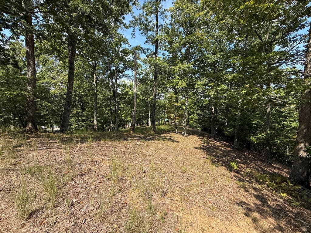 0 Madison Lane, Murphy NC 28906 - Photo