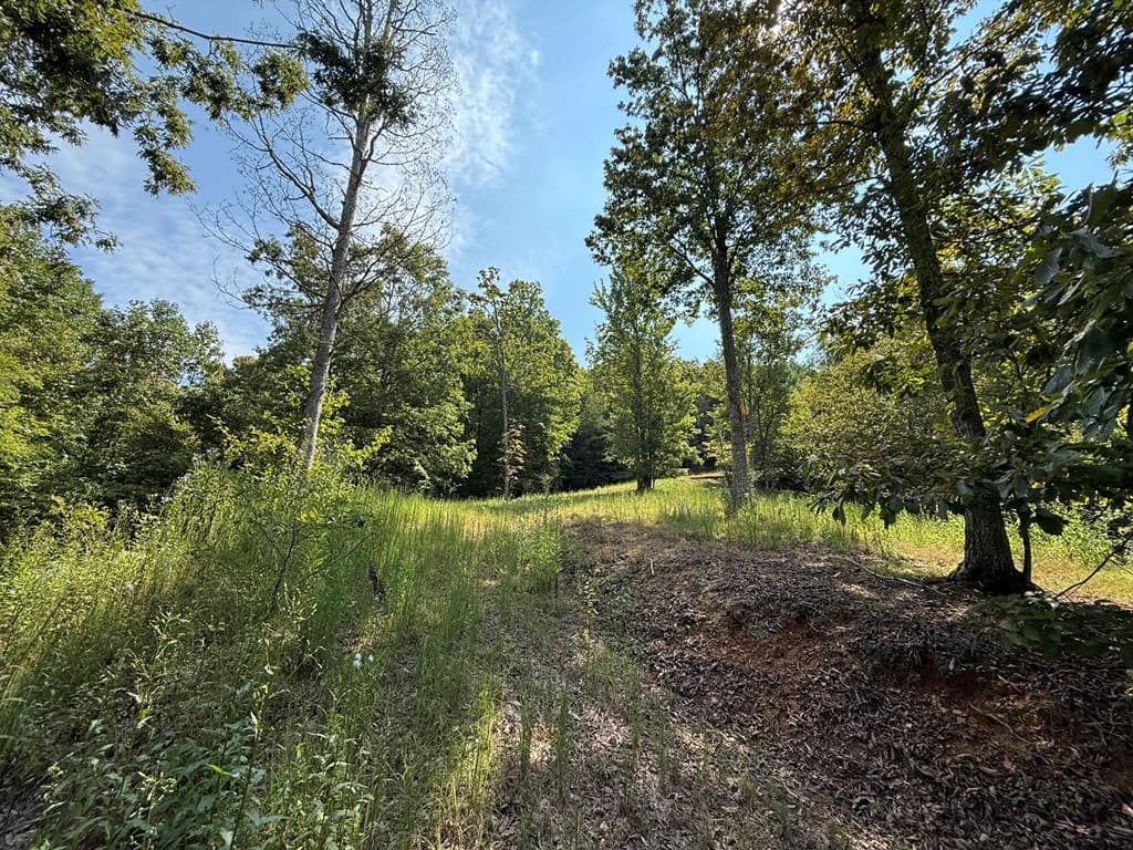 0 Madison Lane, Murphy NC 28906 - Photo