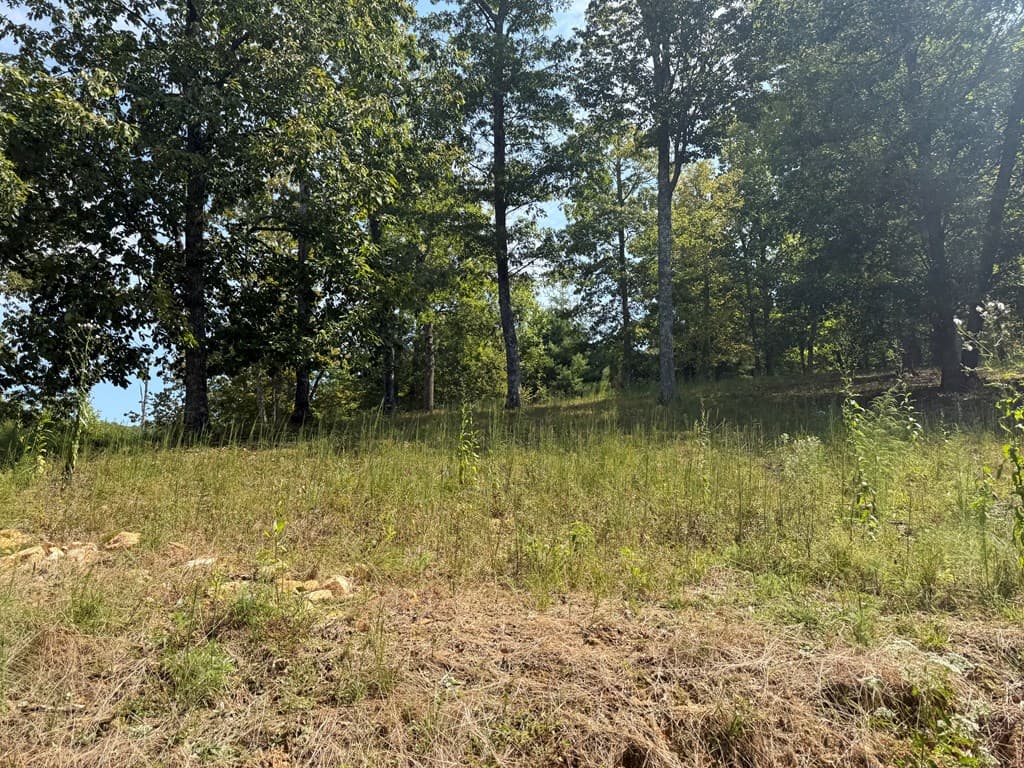 0 Madison Lane, Murphy NC 28906 - Photo